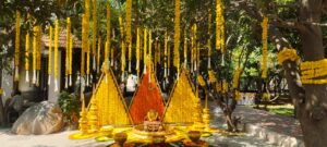 Top Resort for Haldi Function in Hyderabad