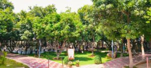 Luxury Haldi Venue Hyderabad